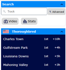 Race Statistics Live Stream