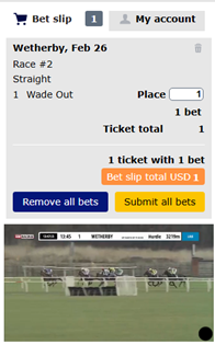 Race Statistics Live Stream